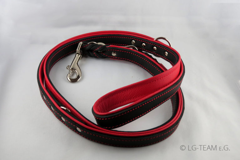 Hund Doppelleine zweifarbig zum Halsband Produkte LG Zaum Gebisslos